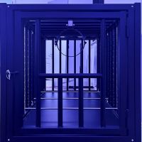 Black Brilliance - Foto Nr. 1