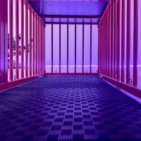 Red Royale - Foto Nr. 3